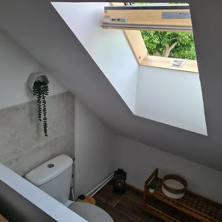 L Inattendu * Le Thoureil